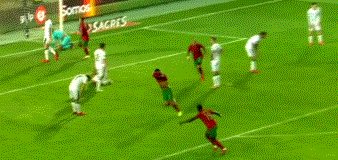 5546.gif